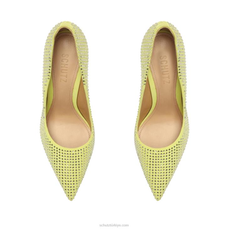 Schutz N42F709lou kristal nubuk pompa yabani kireç