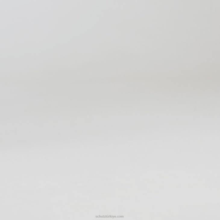 Schutz N42F709lou kristal nubuk pompa yabani kireç