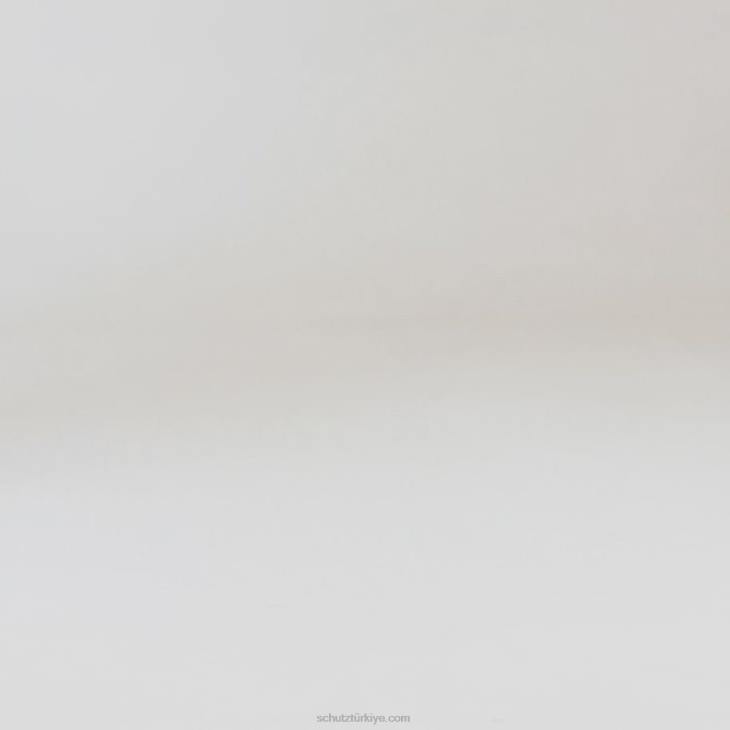 Schutz N42F676ammy nappa deri sandalet yumuşak gökyüzü