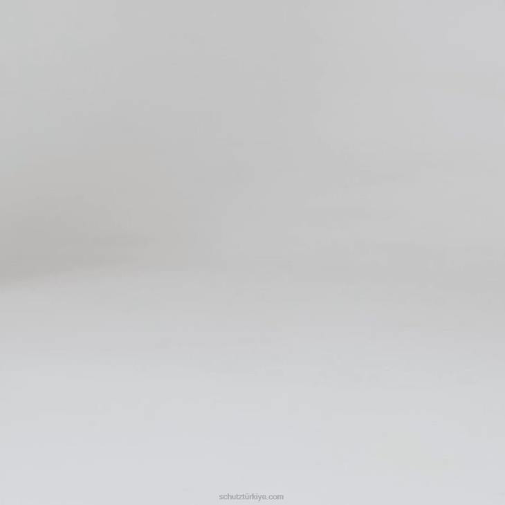 Schutz N42F394agatha sandal siyah